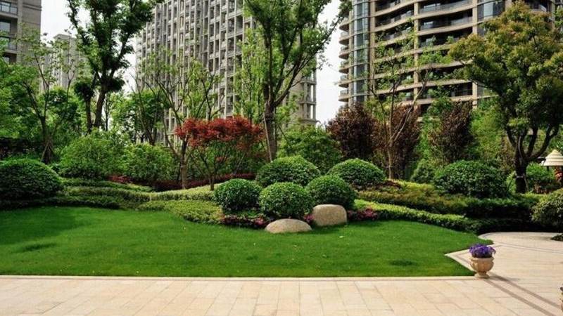 新闻资讯 跨时区观赛时间换算说明配图