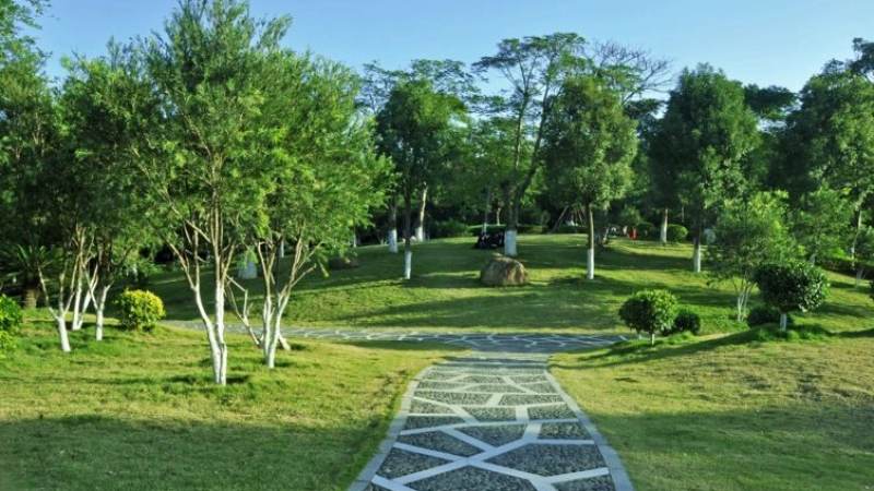 LPL战队转会消息怎么判断真假？看懂官宣节奏与合同规则